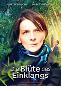 © NEUE VISIONEN Filmverleih GmbH